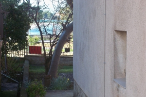 ap2_01.jpg
